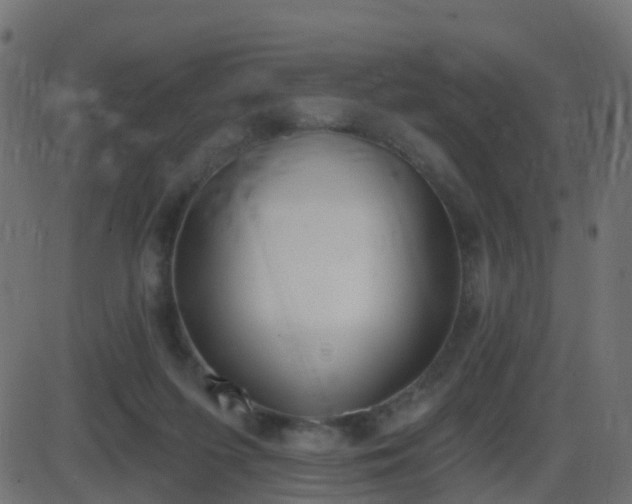 X0000086270215200704051318