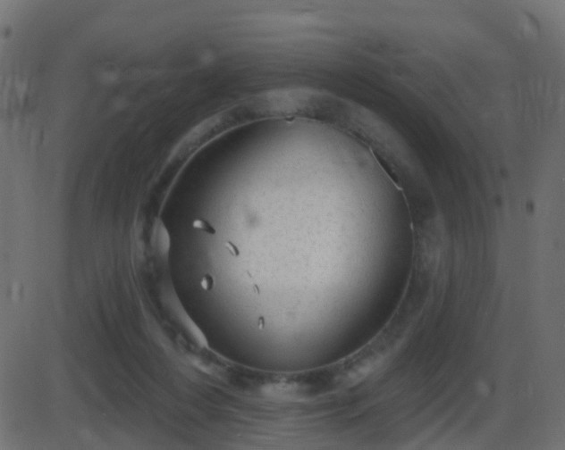 X0000086270216200704051318