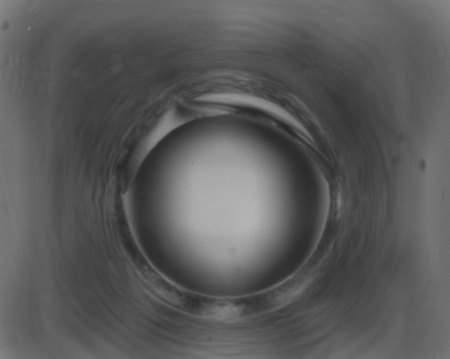 X0000086270217200704051318