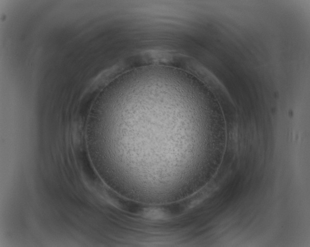 X0000086270218200704051317