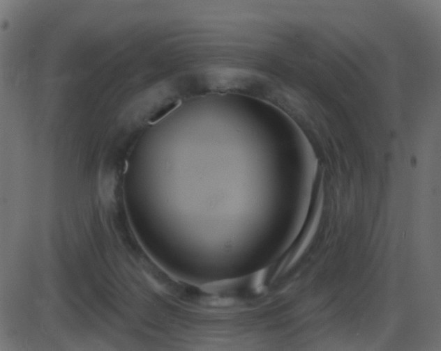 X0000086270219200704051317