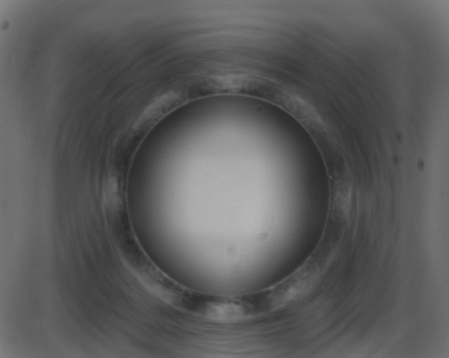 X0000086270220200704051317