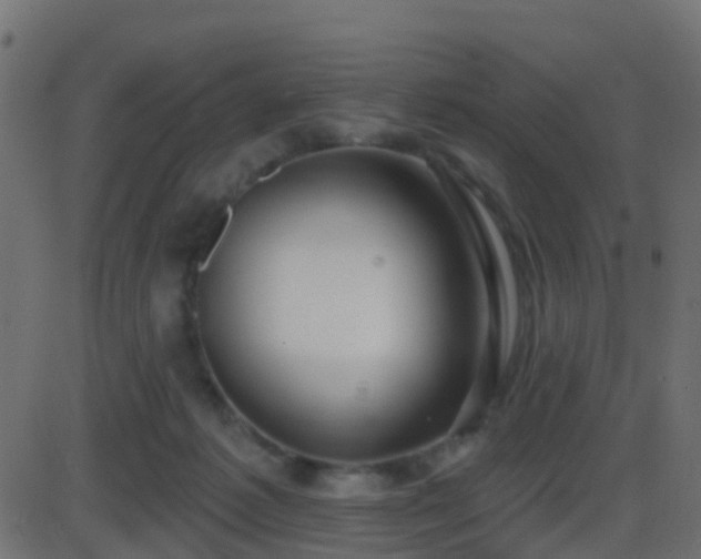 X0000086270221200704051317