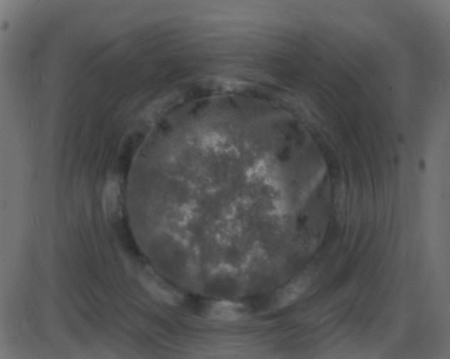 X0000086270222200704051317