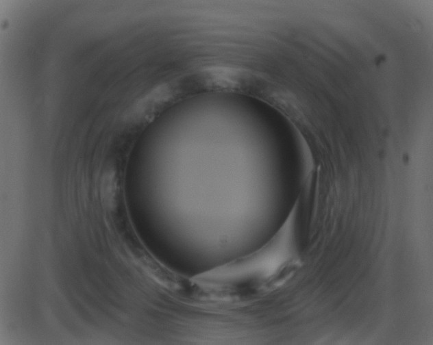 X0000086270223200704051317