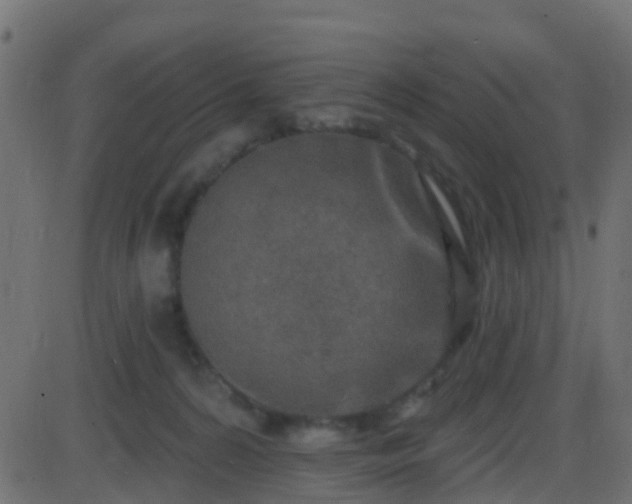 X0000086270224200704051317