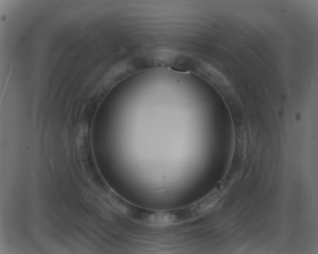 X0000086270225200704051317