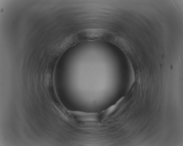 X0000086270227200704051317