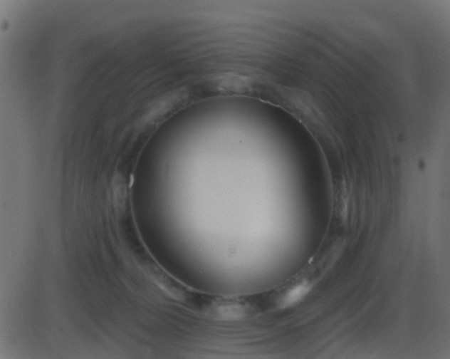 X0000086270228200704051317