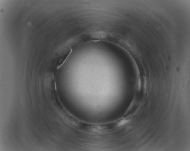 X0000086270229200704051317