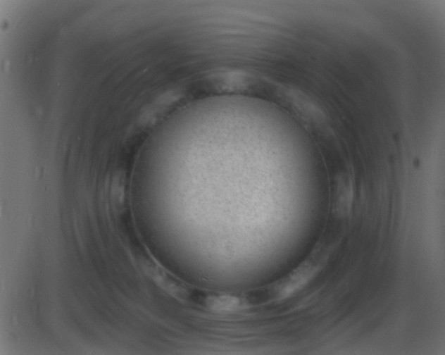 X0000086270230200704051317