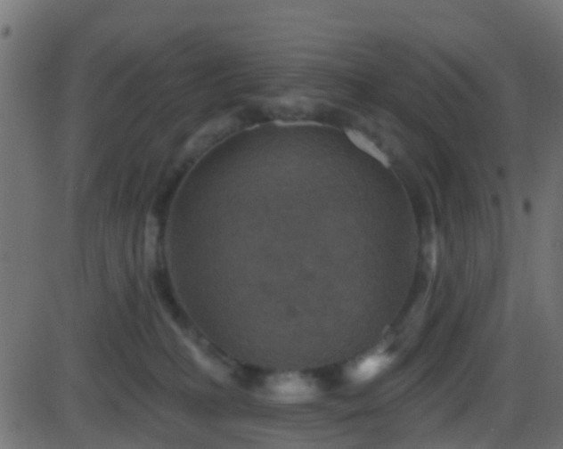 X0000086270231200704051317