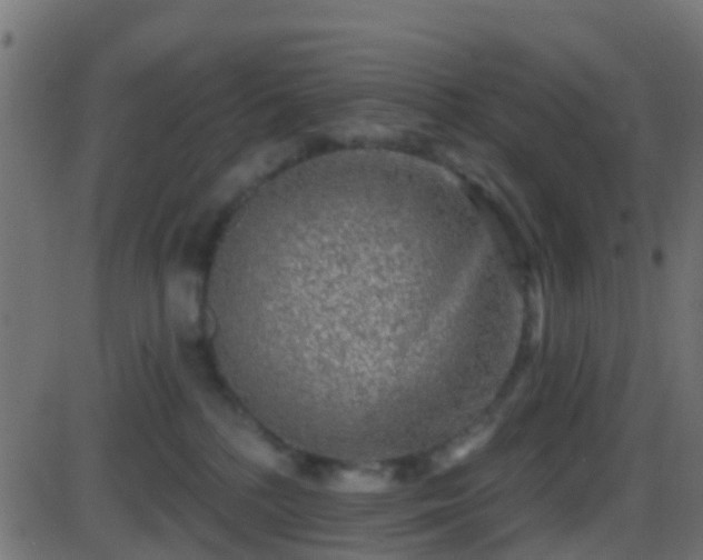 X0000086270232200704051317