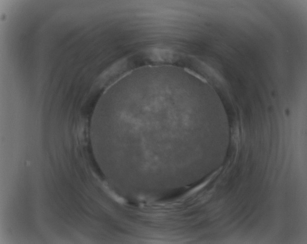 X0000086270233200704051317