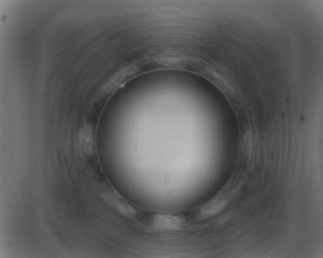 X0000086270234200704051317