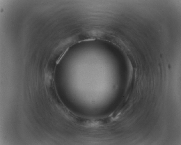 X0000086270235200704051317