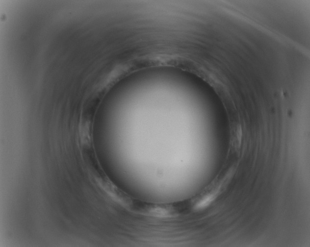 X0000086270236200704051317