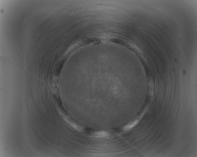 X0000086270237200704051317