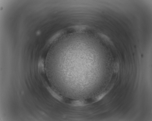 X0000086270238200704051317