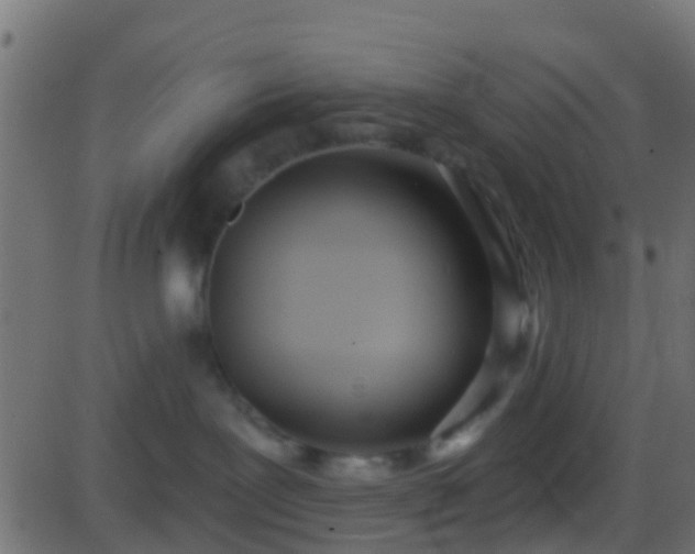 X0000086270239200704051317