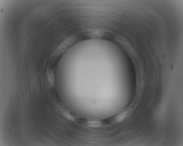 X0000086270240200704051317