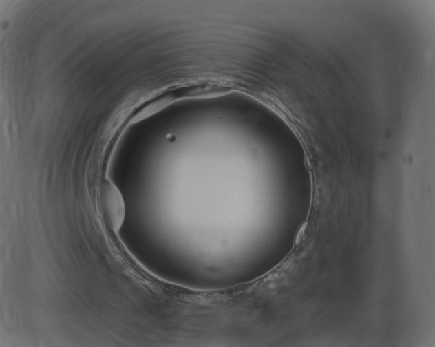 X0000086270241200704051316