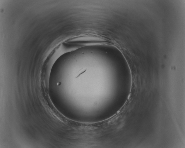 X0000086270242200704051316