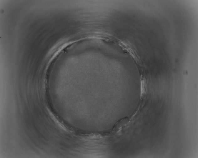 X0000086270243200704051316