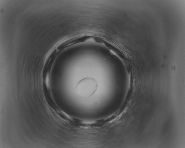 X0000086270244200704051316