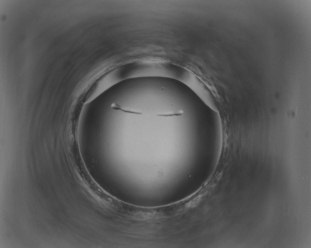 X0000086270245200704051316