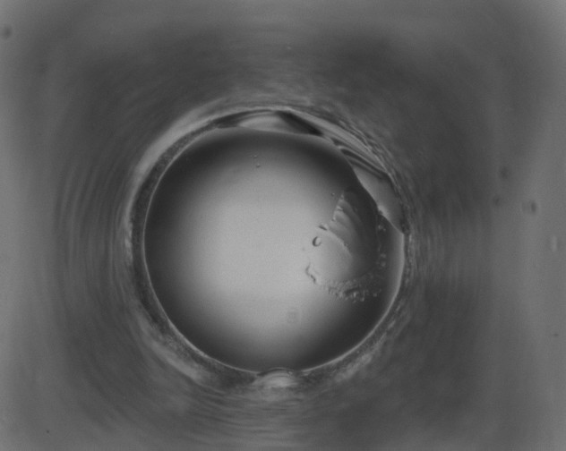 X0000086270246200704051316