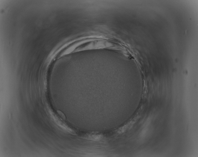 X0000086270247200704051316