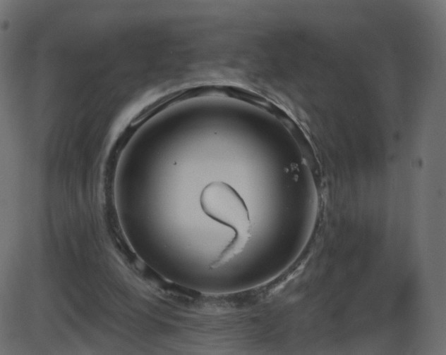 X0000086270248200704051316