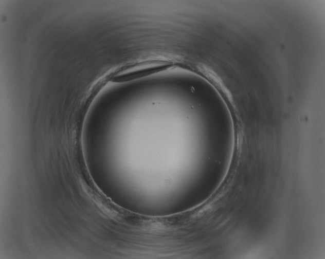 X0000086270249200704051316