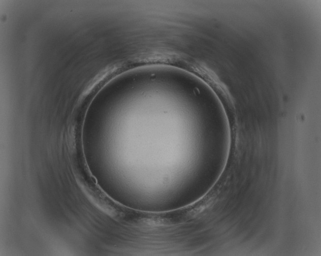 X0000086270250200704051316