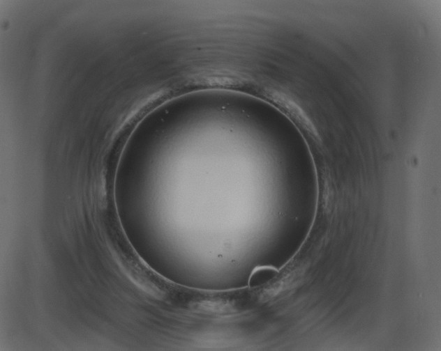 X0000086270251200704051316