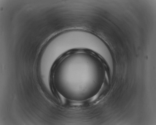 X0000086270252200704051317