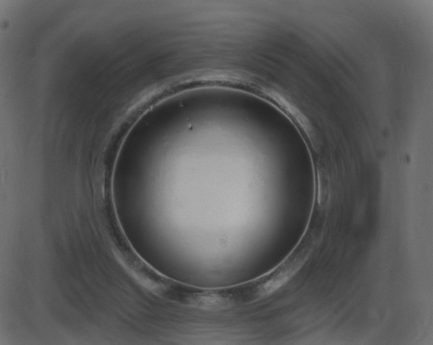 X0000086270253200704051317