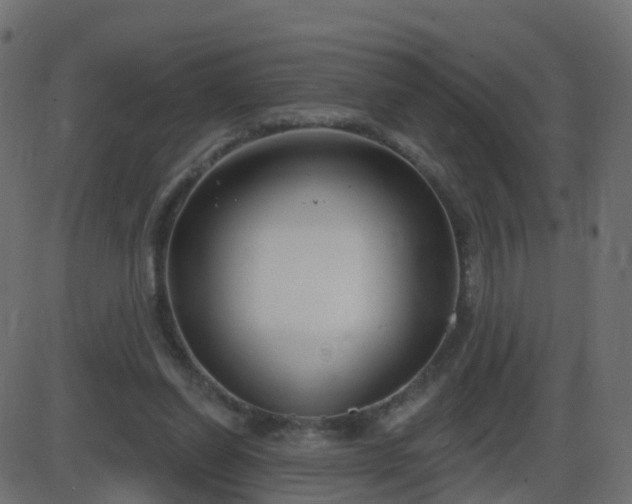 X0000086270254200704051317