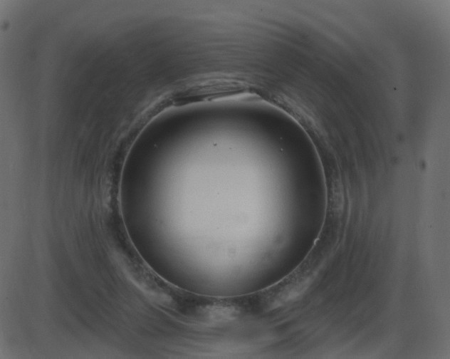 X0000086270255200704051317