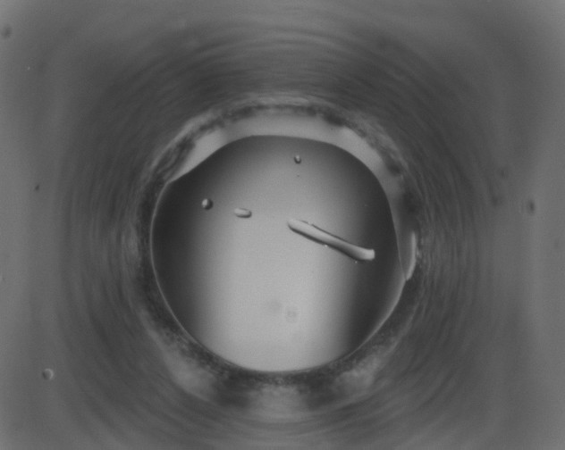 X0000086270256200704051317