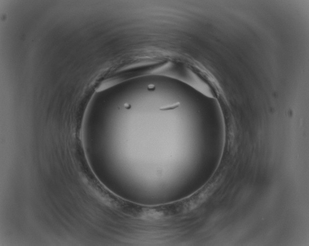 X0000086270257200704051317