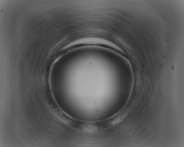 X0000086270258200704051317