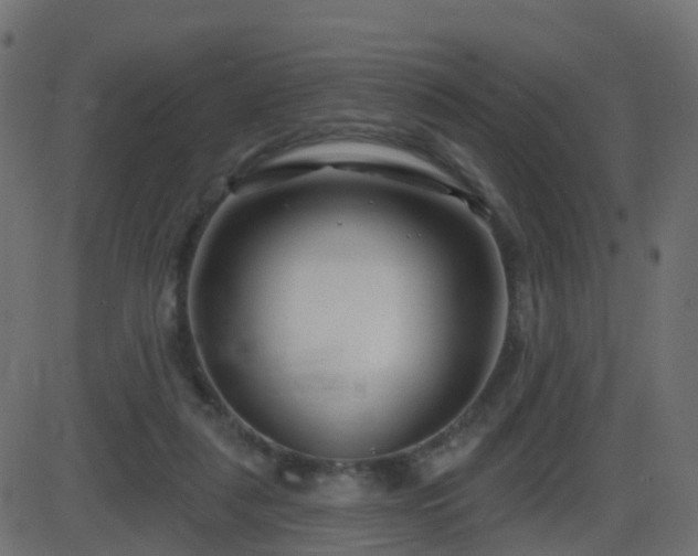 X0000086270259200704051317