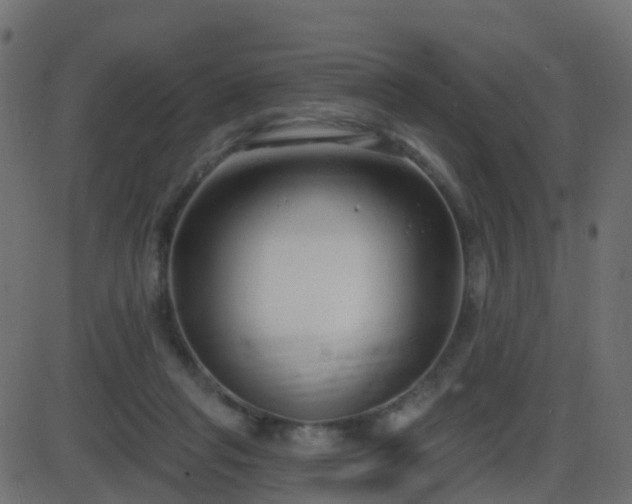 X0000086270261200704051317