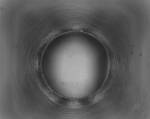 X0000086270262200704051317