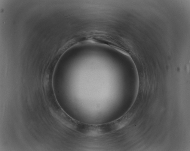 X0000086270263200704051317