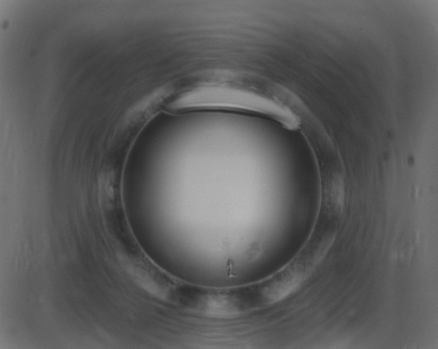 X0000086270264200704051317