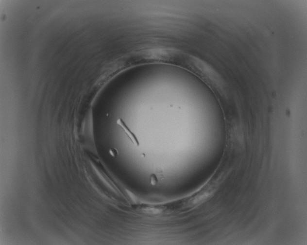 X0000086270265200704051317