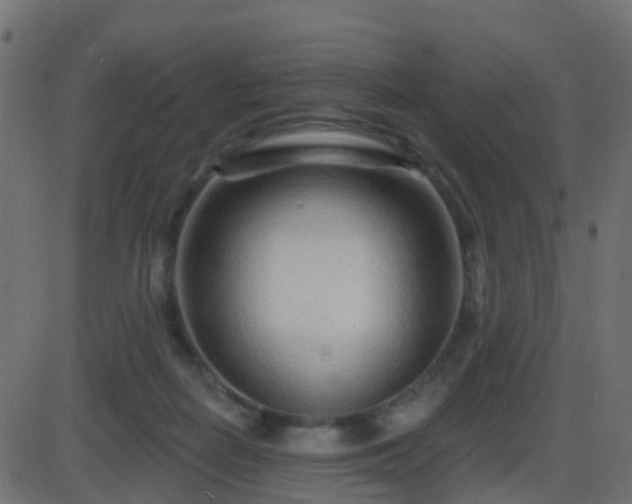 X0000086270266200704051317